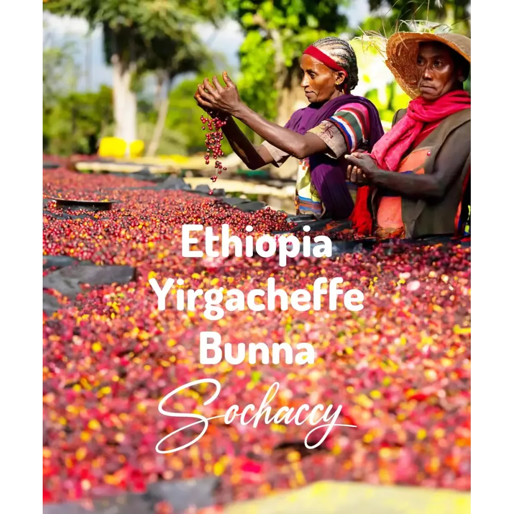 Kawa ziarnista Etiopia Yirgacheffe Bunna Plantacja | Palarnia Kawy Sochaccy