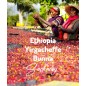 Etiopia Yirgacheffe Bunna | Świeżo Palona Arabica | Kawa Ziarnista