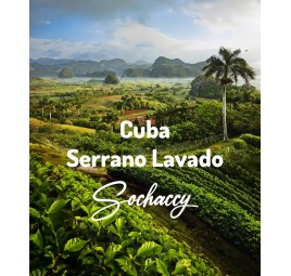 Kuba Serrano Lavado | Świeżo Palona Arabica | Kawa Ziarnista|Palarnia Kawy Sochaccy|Kuba