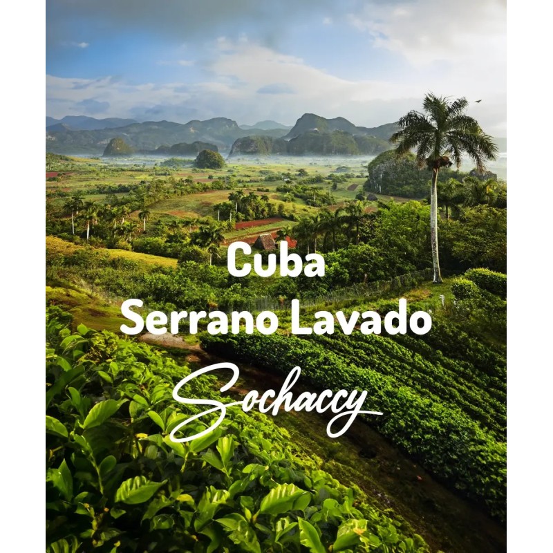 Kuba Serrano Lavado | Świeżo Palona Arabica | Kawa Ziarnista|Palarnia Kawy Sochaccy|Kuba