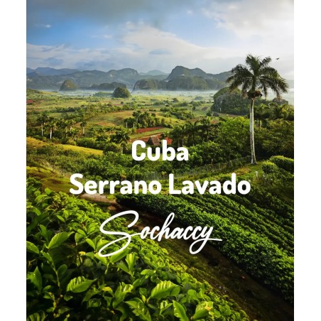 Cuba Serrano Lavado | Freshly Roasted Arabica | Coffee Bean.