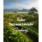 Kuba Serrano Lavado | Świeżo Palona Arabica | Kawa Ziarnista