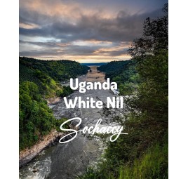 Uganda White Nil | Świeżo Palona Arabica | Kawa Ziarnista|Palarnia Kawy Sochaccy|Uganda