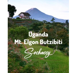 Uganda Mt. Elgon Butzibiti | Świeżo Palona Arabica | Kawa Ziarnista|Palarnia Kawy Sochaccy|Uganda