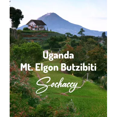 Uganda Mt. Elgon Butzibiti | Świeżo Palona Arabica | Kawa Ziarnista