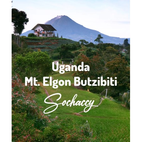 Uganda Mt. Elgon Butzibiti | Świeżo Palona Arabica | Kawa Ziarnista
