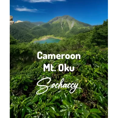 Kamerun Mt. Oku | Świeżo Palona Arabica | Kawa Ziarnista