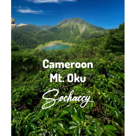 Kamerun Mt. Oku | Świeżo Palona Arabica | Kawa Ziarnista