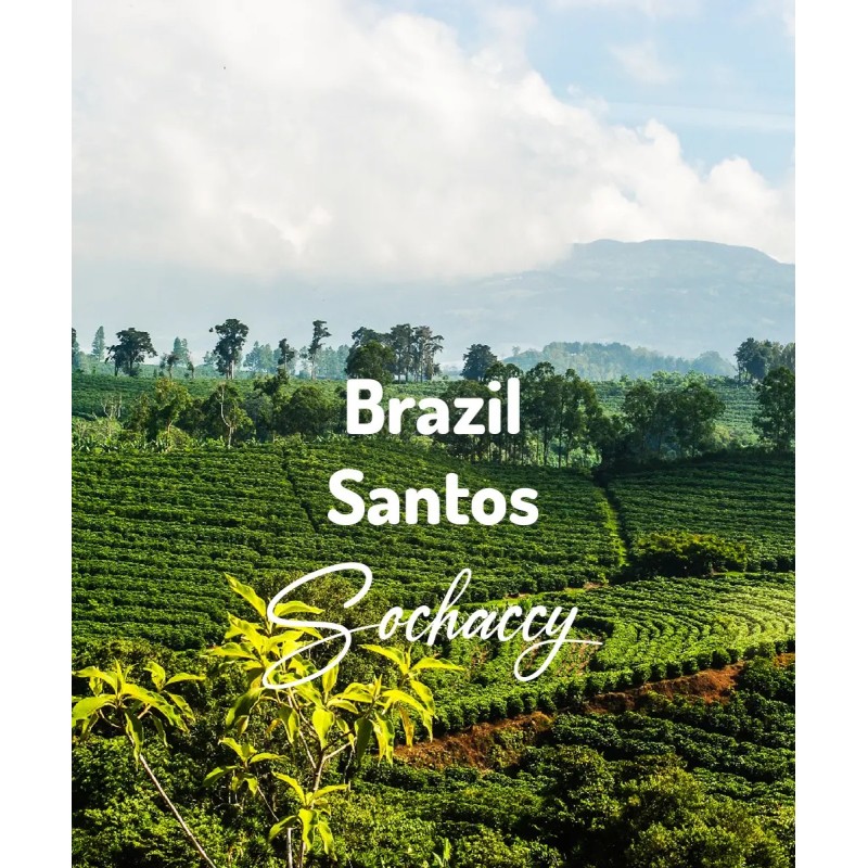 Brazylia Santos | Świeżo Palona Arabica | Kawa Ziarnista|Palarnia Kawy Sochaccy|Brazylia