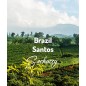 Brazylia Santos | Świeżo Palona Arabica | Kawa Ziarnista