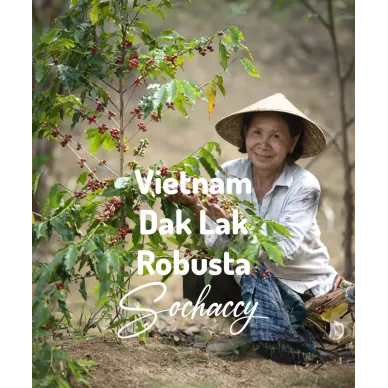 Wietnam Dak Lak | Świeżo Palona Robusta | Kawa Ziarnista