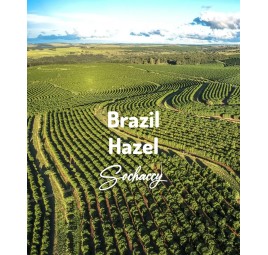 Brazil Cemorrado Hazel | Freshly Roasted Arabica | Coffee Bean. Coffee Brazil | Sochaccy.Co |