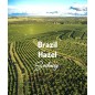 Brazylia Cemorrado Hazel | Świeżo Palona Arabica | Kawa Ziarnista