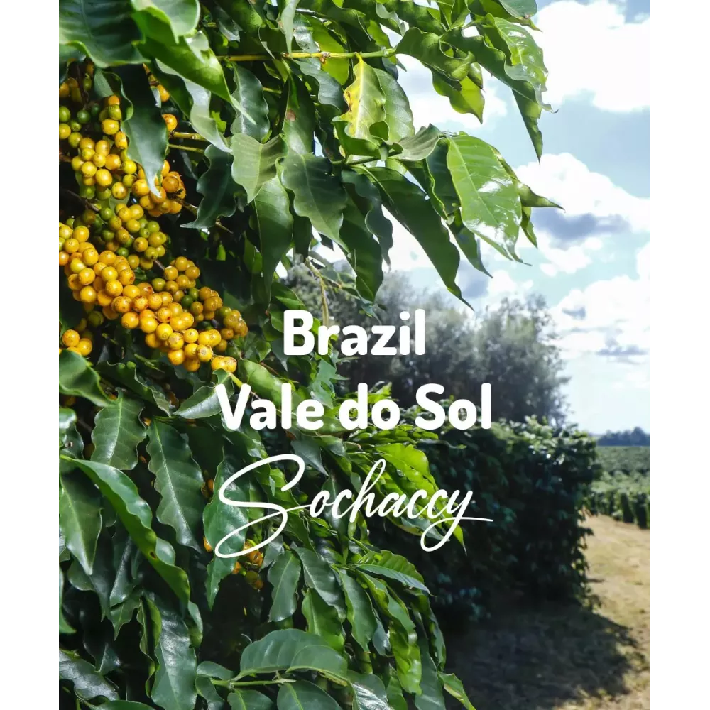 Kawa ziarnista do ekspresu Brazylia Vale do Sol