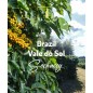 Brazylia Vale do Sol | Świeżo Palona Arabica | Kawa Ziarnista