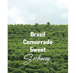 Brazylia Cemorrado Sweet | Świeżo Palona Arabica | Kawa Ziarnista|Palarnia Kawy Sochaccy|Brazylia