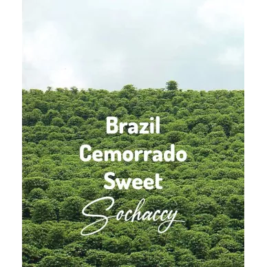 Brazylia Cemorrado Sweet | Świeżo Palona Arabica | Kawa Ziarnista