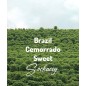 Brazil Cemorrado Sweet | Freshly Roasted Arabica | Coffee Bean.