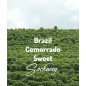 Brazylia Cemorrado Sweet | Świeżo Palona Arabica | Kawa Ziarnista