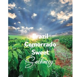 Brazil Cemorrado Chocolate | Freshly Roasted Arabica | Coffee Bean. Coffee Brazil | Sochaccy.Co |