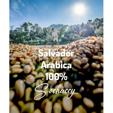 Salwador Arabica 100% 1kg | Świeżo Palona Arabica | Kawa Ziarnista