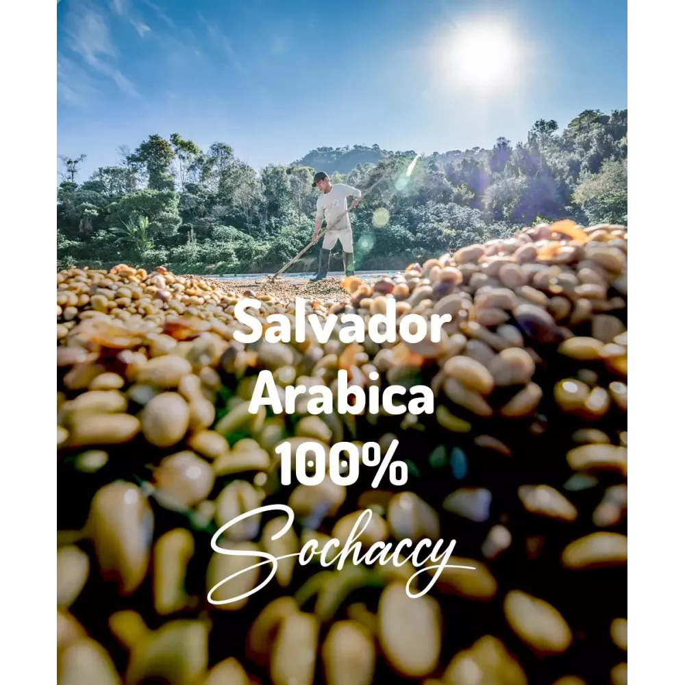 Kawa ziarnista Salwador Arabica 100%