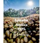 Salvador Arabica 100% 1kg | Freshly Roasted Arabica | Beans Coffee