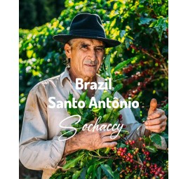 Kawa ziarnista świeżo palona Brazylia Santo Antônio