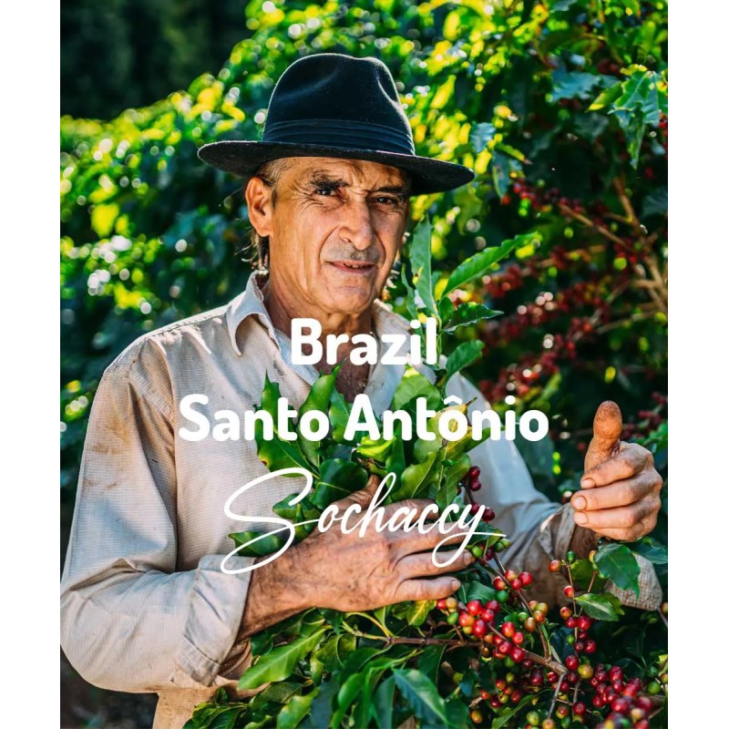 Kawa ziarnista świeżo palona Brazylia Santo Antônio