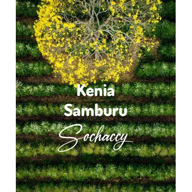 Kenia Samburu | Świeżo Palona Arabica | Kawa Ziarnista