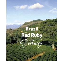 Kawa ziarnista świeżo palona Brazylia Red Ruby z Rzemieślniczej Palarni Kawy