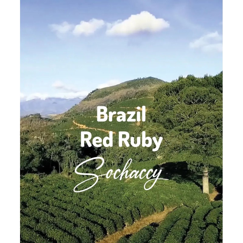 Freshly roasted Brazil Red Ruby bean coffee from Artisan Coffee Roasters