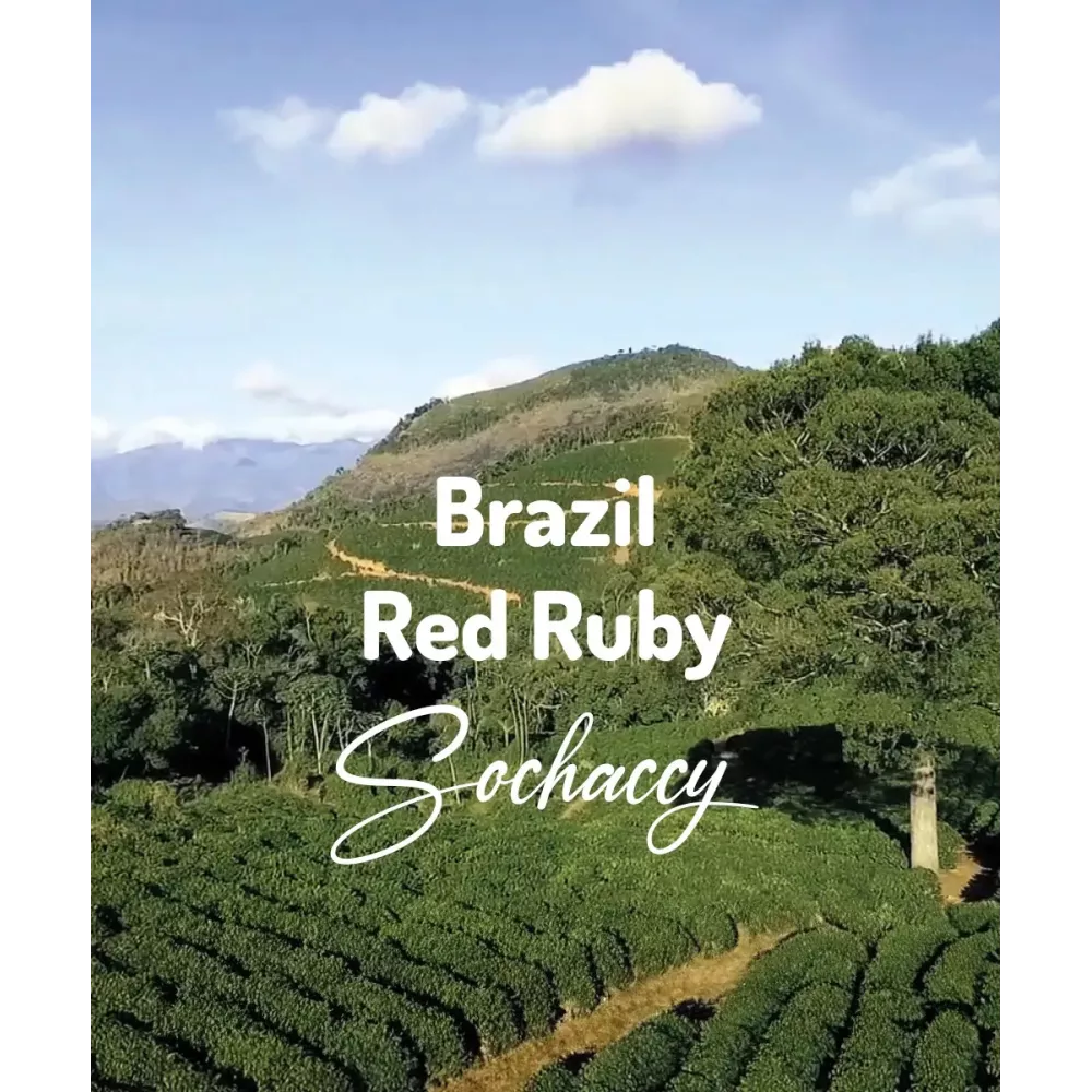 Kawa ziarnista świeżo palona Brazylia Red Ruby z Rzemieślniczej Palarni Kawy