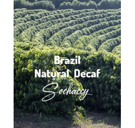 Kawa ziarnista świeżo palona Brazylia Natural Decaf