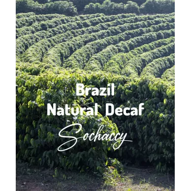 Brazylia Natural Decaf | Świeżo Palona Arabica | Kawa Ziarnista