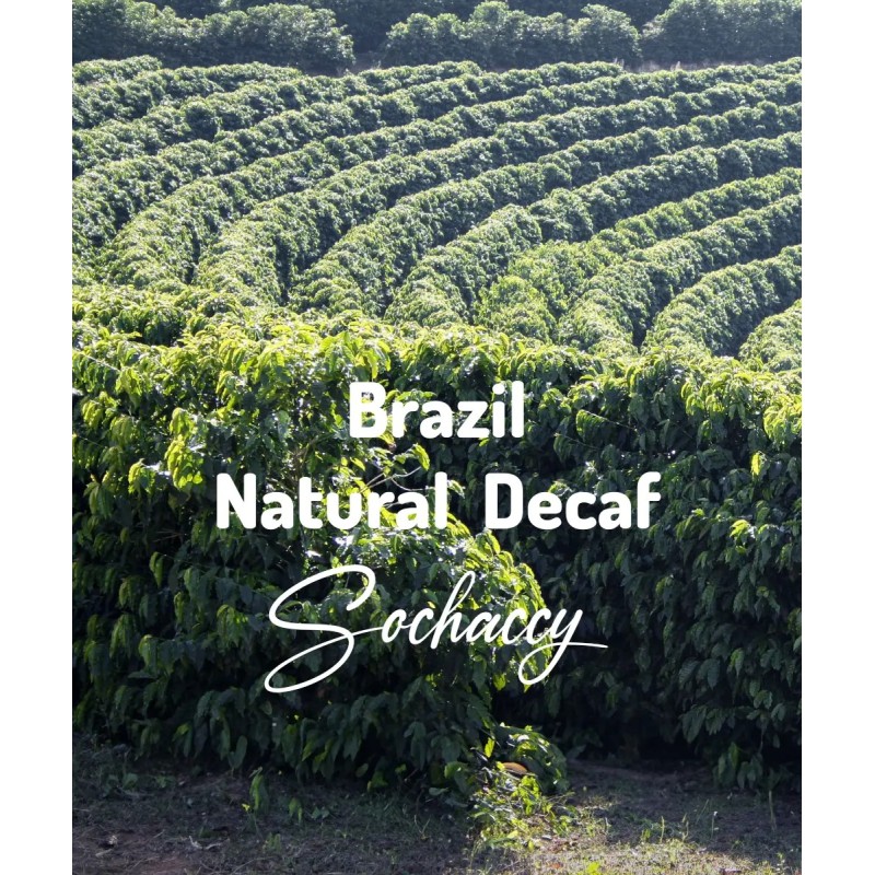 Brazil Natural Decaf | Freshly Roasted Arabica | Coffee Bean. Coffee Decaf coffee | Sochaccy.Co |