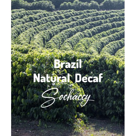 Brazylia Natural Decaf | Świeżo Palona Arabica | Kawa Ziarnista