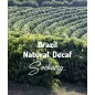 Brazil Natural Decaf | Freshly Roasted Arabica | Coffee Bean.