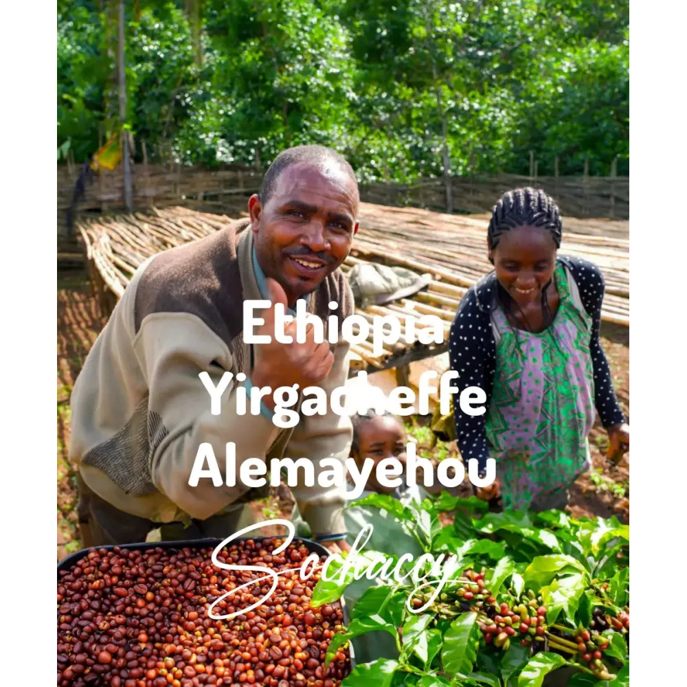 Kawa ziarnista świeżo palona Etiopia Yirgacheffe Alemayehou