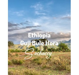 Fresh Ethiopia Guji Bule Hora bean coffee