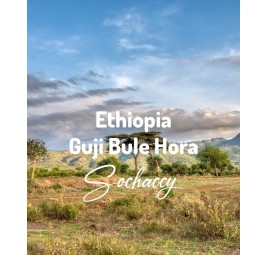 Kawa Etiopia Guji Bule Hora | Świeżo Palona Arabica | Kawa Ziarnista | Sochaccy.Co |Etiopia