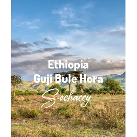 Ethiopia Guji Bule Hora | Freshly Roasted Arabica | Coffee Bean.
