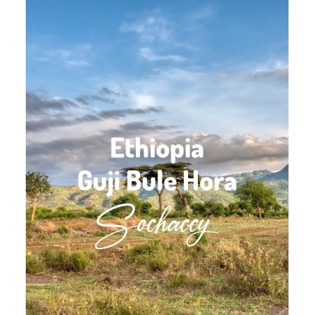 Etiopia Guji Bule Hora | Świeżo Palona Arabica | Kawa Ziarnista