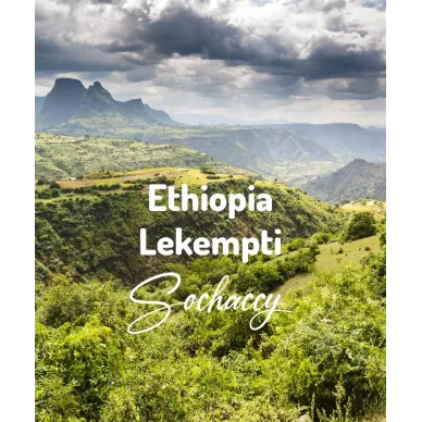 Etiopia Lekempti | Świeżo Palona Arabica | Kawa Ziarnista