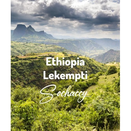 Etiopia Lekempti | Świeżo Palona Arabica | Kawa Ziarnista