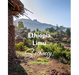 Kawa ziarnista Etiopia Limu Palarnia Kawy Sochaccy
