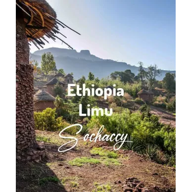 Etiopia Limu | Świeżo Palona Arabica | Kawa Ziarnista