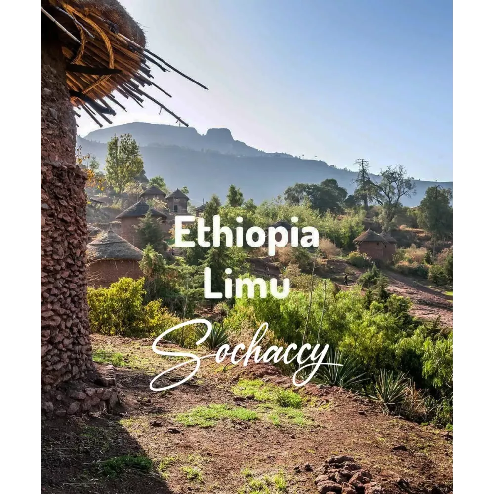 Kawa ziarnista Etiopia Limu Palarnia Kawy Sochaccy