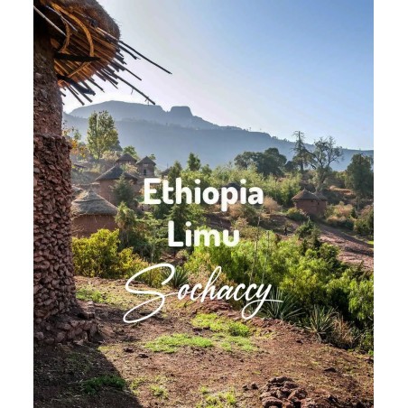 Ethiopia Limu | Freshly Roasted Arabica | Coffee Bean