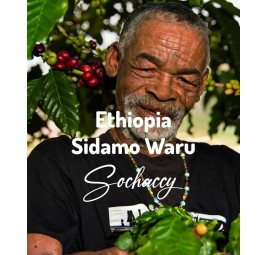 Coffee bean Ethiopia Sidamo Waru Artisanal Coffee Roaster - Coffee Grower of Ethiopia